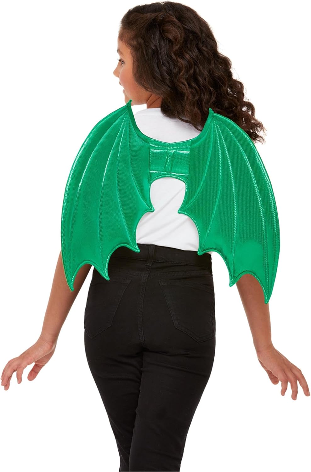 Dragon wings (craft or bought)